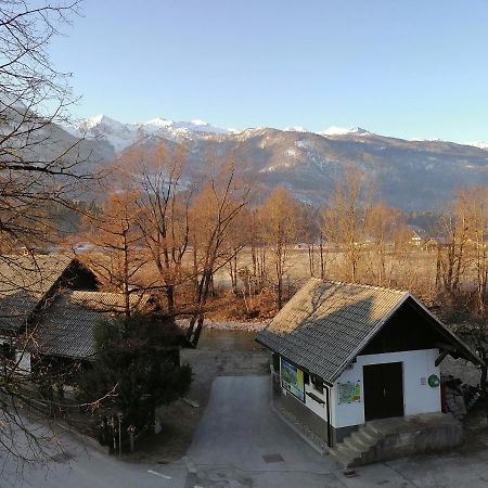 Apartma Kosnik Perunika Bohinj ภายนอก รูปภาพ