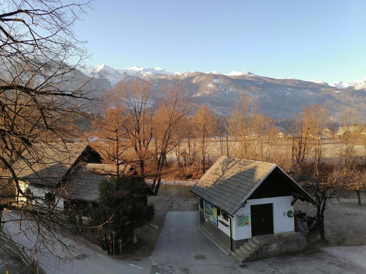 Apartma Kosnik Perunika Bohinj ภายนอก รูปภาพ